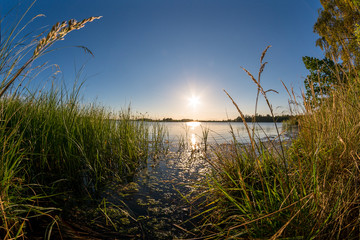 Beautiful sunset at a green ocean coast © DZiegler
