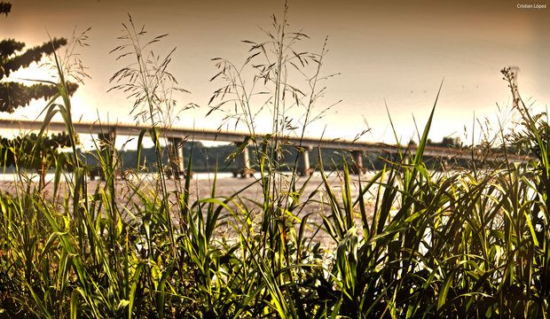 Naturaleza