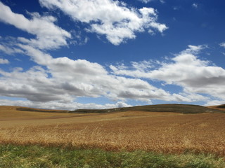 Paisaje castellano de campos de cereales