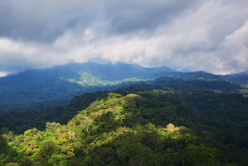 Forested mountain slope in low lying cloud with the evergreen tropical trees, shrouded in mist in a scenic landscape. Low cloud shrouds the distant mountains. Beautiful green forest background..