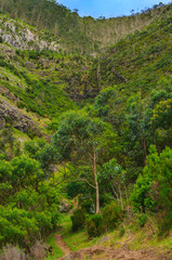 Beautiful landscape with mountains. Madeira, Portugal, Europe.
