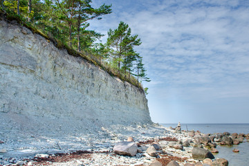 Panga Cliffs on the Baltic Sea in the Island of Saaremaa, Estonia