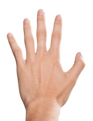 Fototapeta premium Hand Showing Five Fingers / Stop Gesture