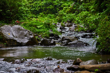 Naklejka na ściany i meble River water rocks in forest river landscape with mountains, forest and a river in front. Beautiful scenery. River stones in forest river water flowing landscape. Stream water flowing past stones.