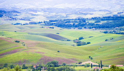 Naklejka premium Tuscan landscape with trees and cultivated land