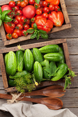 Fresh garden tomatoes and cucumbers