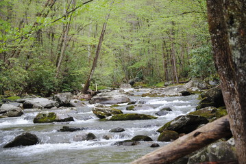 Spring River Flow