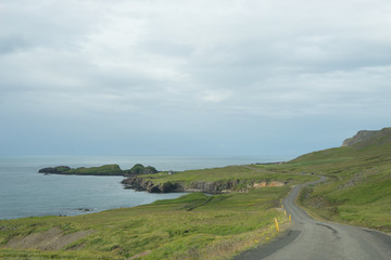 Hafen von Bakkagerði mit Papageientauchern / Ostfjorde - Island