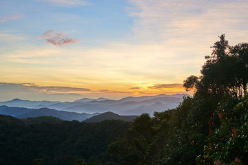 Naklejka premium Colorful clouds of mist hovering low between green trees in the forest early morning. .Summer landscape. Fluffy clouds in the blue sky over the mountain valley illuminated by the rising sun..