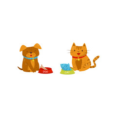 Obraz na płótnie Canvas Funny dog and cat eating food, cute domestic pet animals cartoon characters, best friends vector Illustration on a white background