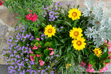 Blumenbeet im Garten