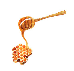 Watercolor hand drawn sketch illustration of spoon for honey and honeycomb isolated on white