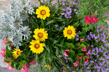 Blumenbeet im Garten