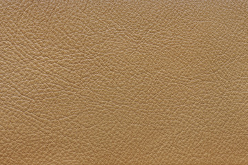 biege leather texture