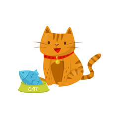 Funny cat sitting next to a bowl of fish, cute domestic pet animal cartoon character vector Illustration on a white background