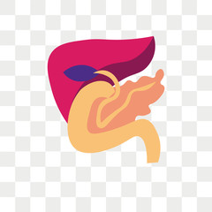 Pancreas vector icon isolated on transparent background, Pancreas logo design