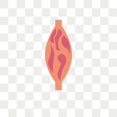 Muscle vector icon isolated on transparent background, Muscle logo design