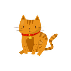 Funny cat, cute domestic pet animal cartoon character vector Illustration on a white background