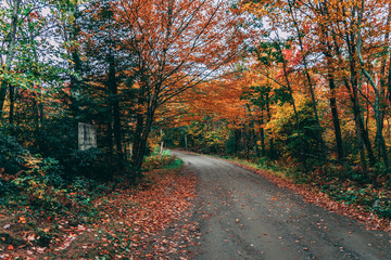Fall road