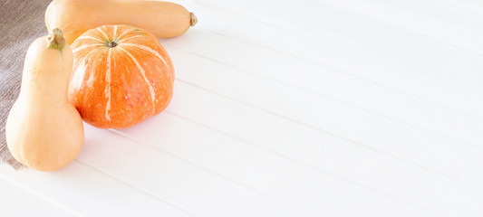 Fresh organic Pumpkin and butternut squash. Autumn concept.