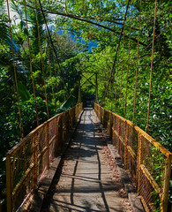 Obraz premium Pedestrian hanging bridge over river in tropical forest in Southeast Asia. Old wooden suspension bridge for walking across river in the rainforest. Suspension bridge. Travel and adventure concept.