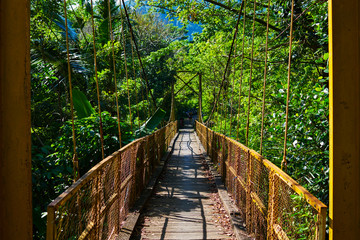 Pedestrian hanging bridge over river in tropical forest in Southeast Asia. Old wooden suspension bridge for walking across river in the rainforest. Suspension bridge. Travel and adventure concept.