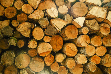Pile of wood logs storage for industry