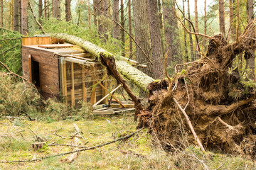 Jägerschießstand vom Baum erschlagen