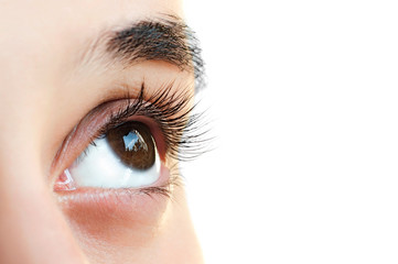 Woman eye with long false eyelashes on isolated. Close up macro shot of eyes visagein in beauty salon on white background.