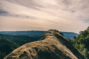Naklejka premium Goat rock
