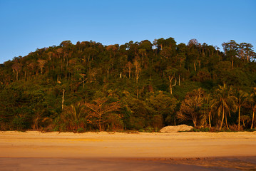 Fototapeta premium Summer nature background. Beautiful exotic beach of golden sand full of palm trees in a jungle. Summer nature scene during sunrise. Early morning sun floods the sand beach. Vacantion concept.