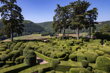 Topiary garden of the Jardins de Marqueyssac - Dordogne - France