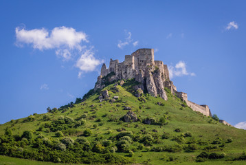 Fototapeta na wymiar Spis Castle on a hill in Spis region, Slovakia