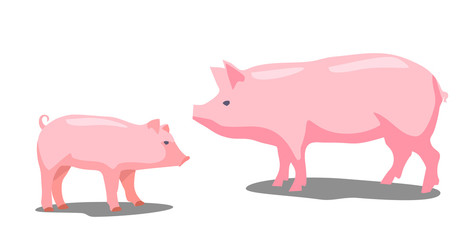 Pig and piggy on green background. Vector flat illustration.