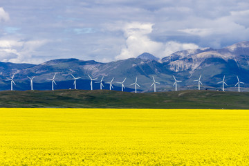 Wind Turbine Renewable Energy