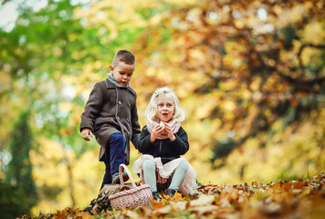 Fototapeta premium The youngest girl and boy go through the autumn forest and collect mushrooms and fruits. 