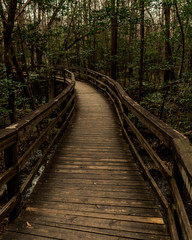 Obraz premium Finding the way