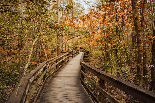 Finding the way