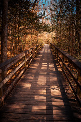 Obraz premium Finding the way