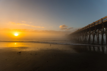 Foggy Sunrise