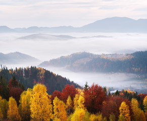Autumn landscape with forest and mountains