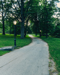 Fototapeta premium Path in Central Park 