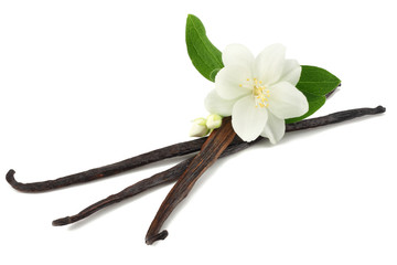 Vanilla sticks with white flower isolated on white background