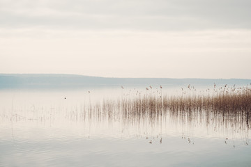 Obrazy na Szkle  Spokojny brzeg jeziora Scharmützelsee w Brandenburgii z trzciną i zachmurzonym niebem