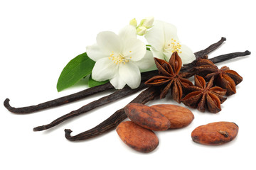 Vanilla sticks with white flower isolated on white background