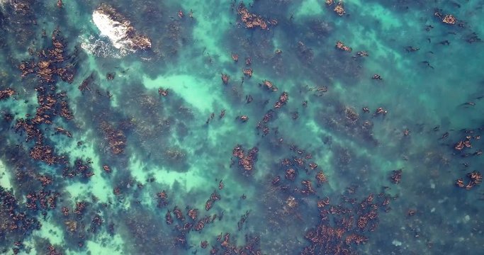 Scenic Aerial Footage of Shelly Point Australia, Shelly Beach Total View Circle Downwards