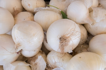 Fresh white onion stand at a street organic food market.