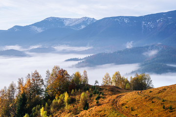 Autumn landscape in the mountains