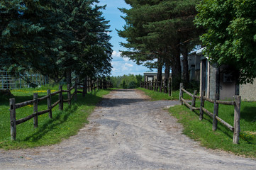Fototapeta premium Horse Farm
