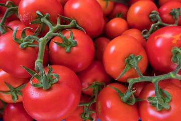 Fresh raw red tomato stand at a street organic food market.